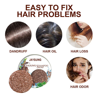 Polygonum Multiflorum Shampoo Hair Darkening Shampoo Bar Natural Organic Conditioner And Repair Care Solid Shampoo Polygonum multiflorum